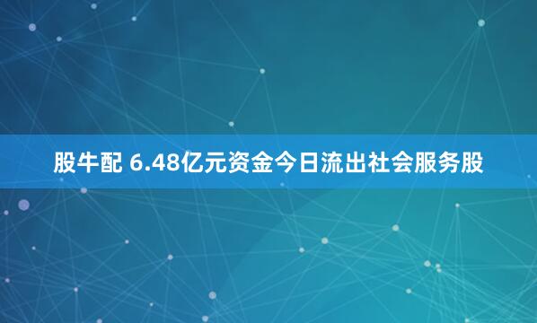股牛配 6.48亿元资金今日流出社会服务股