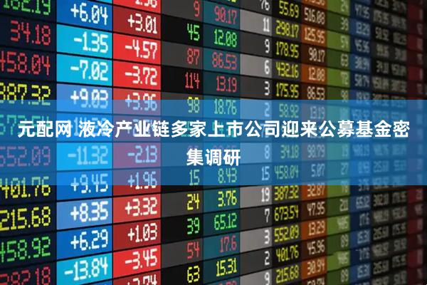 元配网 液冷产业链多家上市公司迎来公募基金密集调研