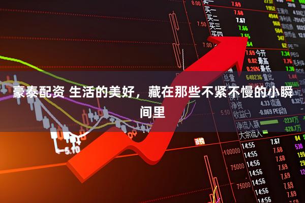 豪泰配资 生活的美好，藏在那些不紧不慢的小瞬间里