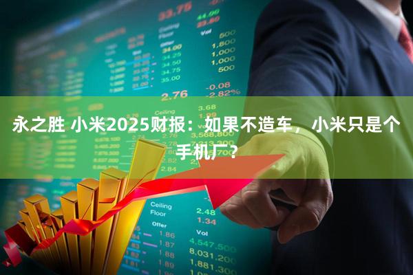 永之胜 小米2025财报：如果不造车，小米只是个手机厂？