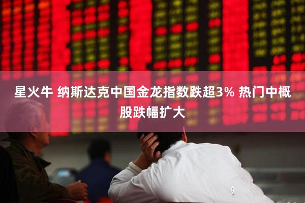 星火牛 纳斯达克中国金龙指数跌超3% 热门中概股跌幅扩大