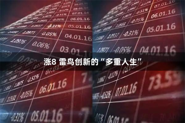 涨8 雷鸟创新的“多重人生”