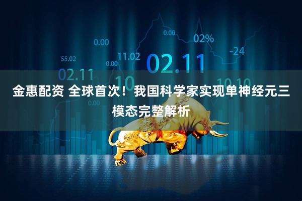 金惠配资 全球首次！我国科学家实现单神经元三模态完整解析