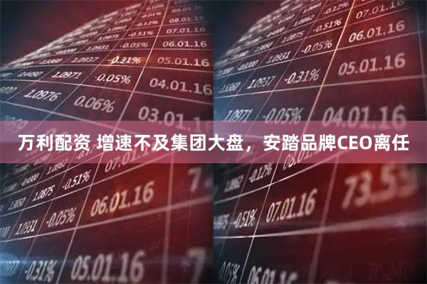 万利配资 增速不及集团大盘，安踏品牌CEO离任