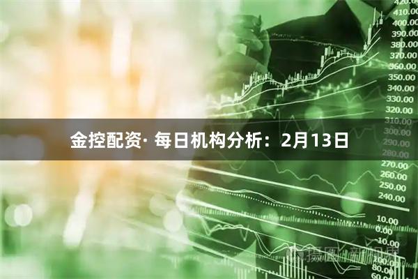 金控配资· 每日机构分析：2月13日