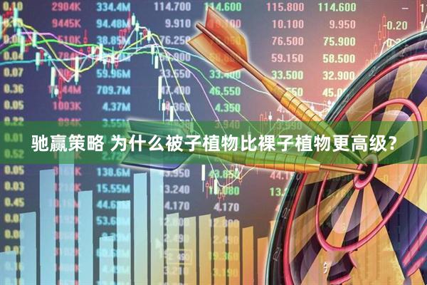 驰赢策略 为什么被子植物比裸子植物更高级？