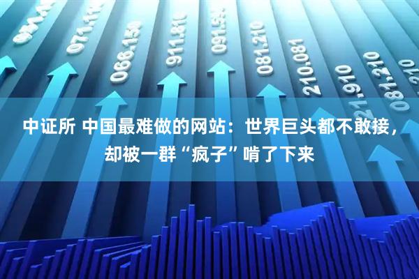 中证所 中国最难做的网站：世界巨头都不敢接，却被一群“疯子”啃了下来