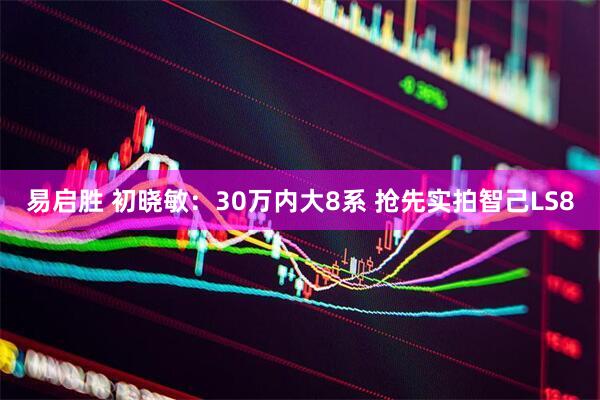 易启胜 初晓敏：30万内大8系 抢先实拍智己LS8