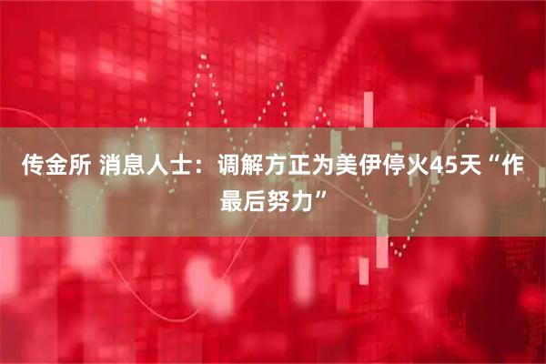 传金所 消息人士：调解方正为美伊停火45天“作最后努力”