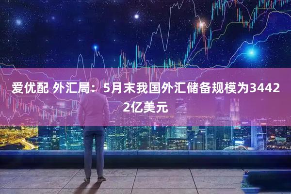 爱优配 外汇局:5月末我国外汇储备规模为34422亿美元
