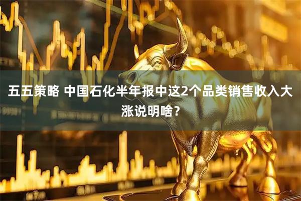 五五策略 中国石化半年报中这2个品类销售收入大涨说明啥？